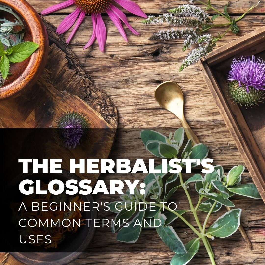 The Herbalist's Glossary A Guide to Common Terms and Uses of Herbs