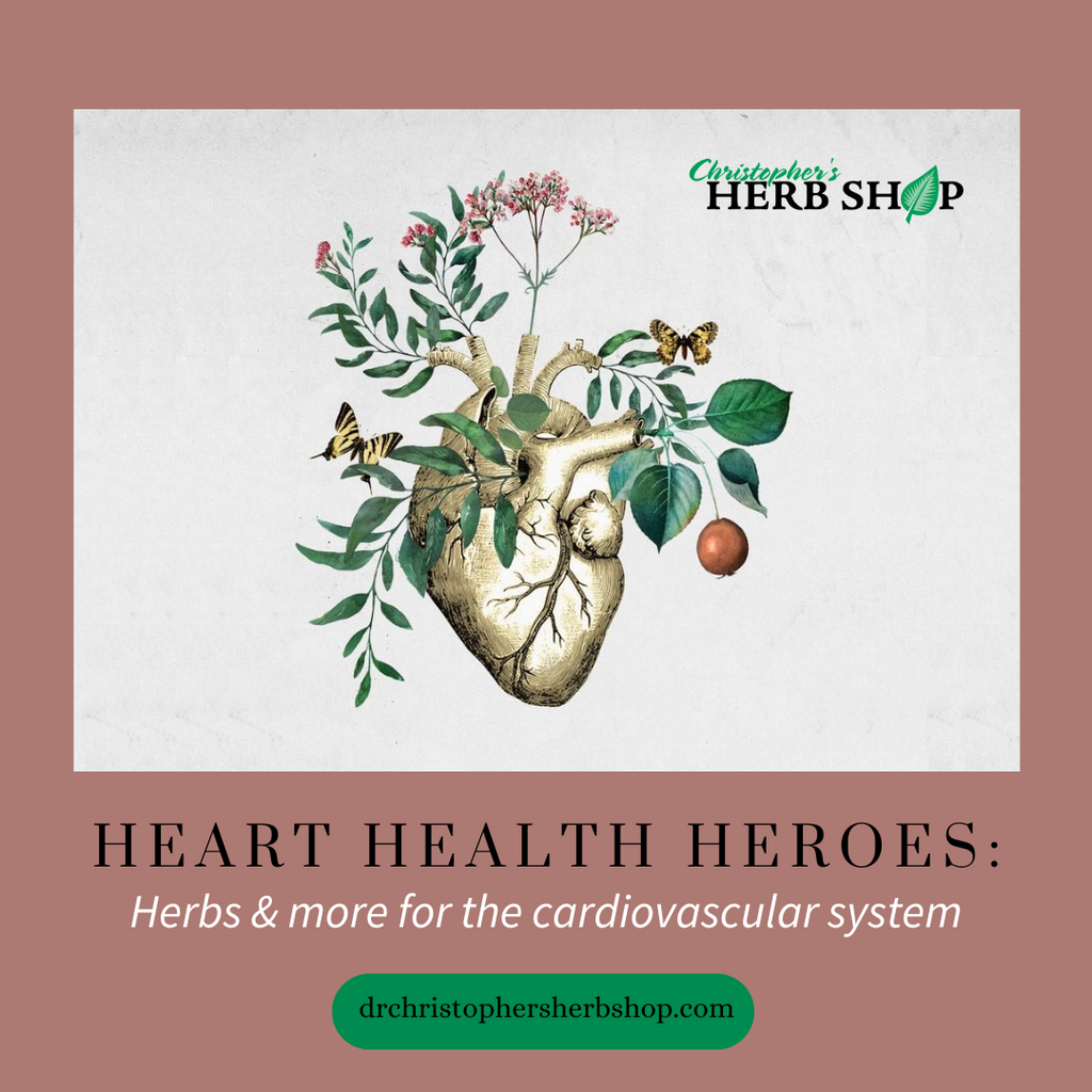 Heart Health Heroes: Herbs and More for the Cardiovascular System