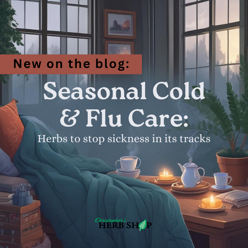 Seasonal Cold & Flu Care: Herbs to Stop Sickness In Its Tracks