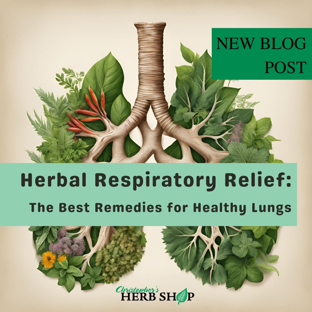 Herbal Respiratory Relief: The Best Remedies for Healthy Lungs