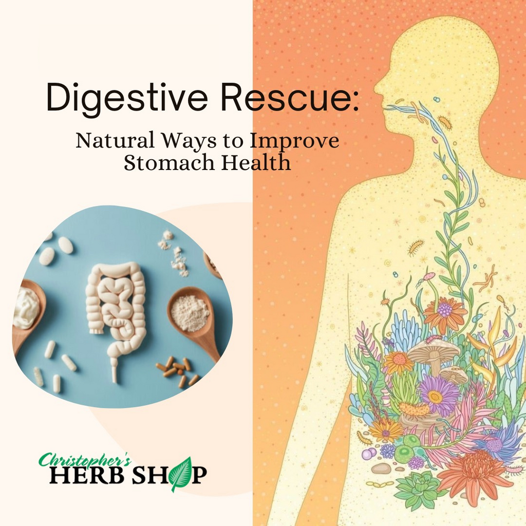 Digestive Rescue: Natural Ways to Improve Stomach Health